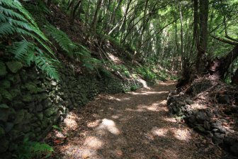 Easy Start in Los Tilos