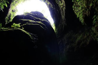 Looking Up Small Canyon