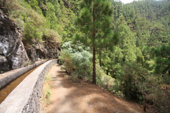 Easy Walking Again After Casa Del Monte