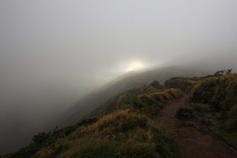 Looking Back to the Sunny Beach